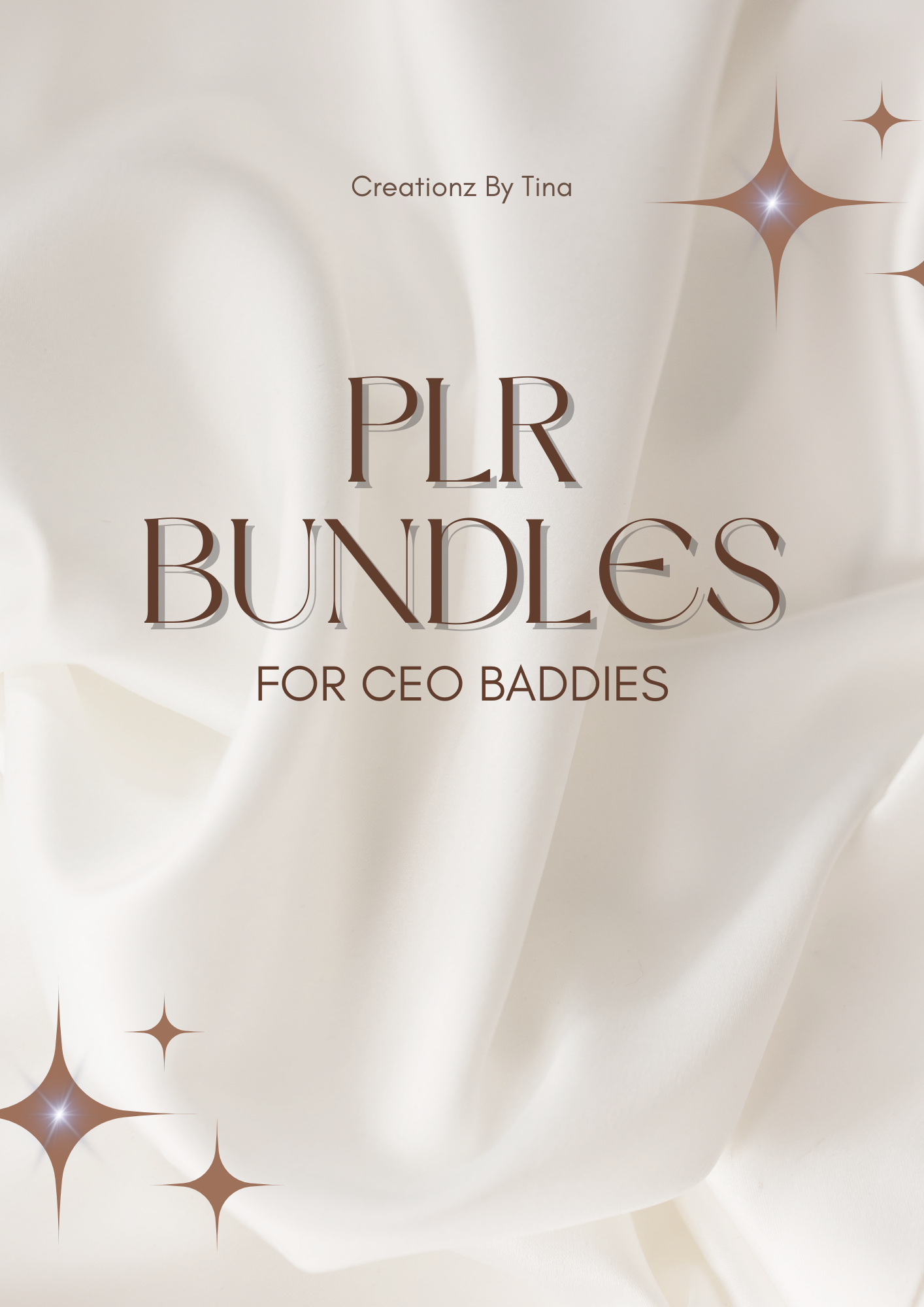 PLR BUNDLE for CEO BOSSES